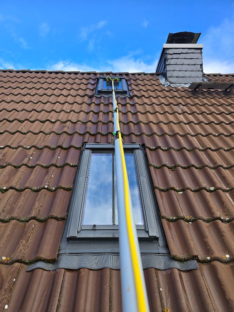 Dachfenster mit Teleskopstange und Reinwasser-Bürste